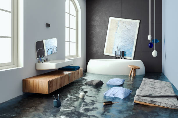 Best Water damage restoration experts  in Mukwonago, WI