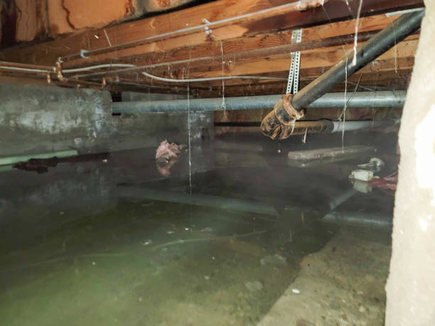 Best Emergency water extraction  in Mukwonago, WI