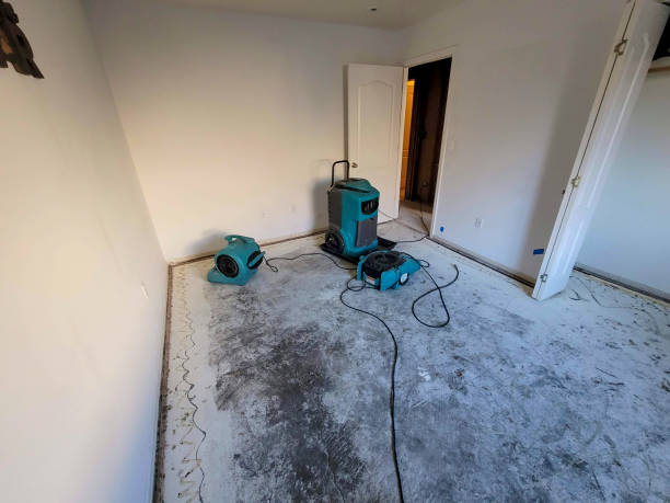 Best Water damage cleanup near me  in Mukwonago, WI