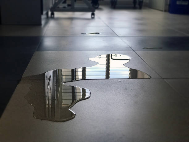 Best Local water damage restoration  in Mukwonago, WI