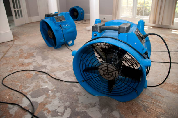 Best Water damage restoration cost  in Mukwonago, WI
