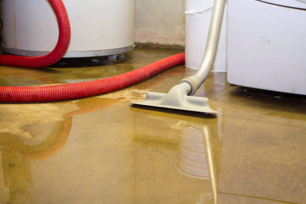 Best Mold removal after water damage  in Mukwonago, WI