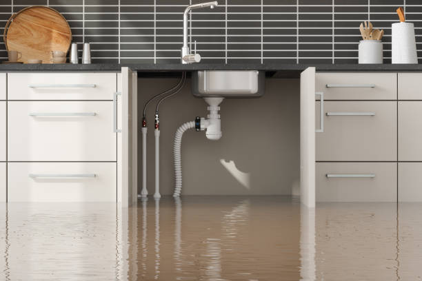 Best Ceiling water damage repair  in Mukwonago, WI