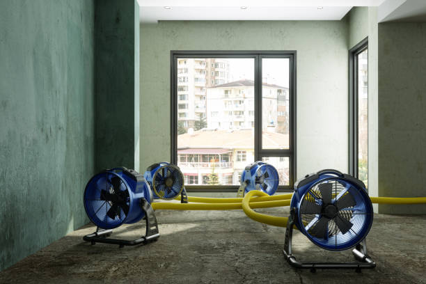 Best 24-hour water damage restoration  in Mukwonago, WI