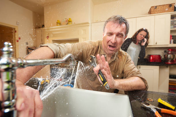 Best Flood restoration services  in Mukwonago, WI